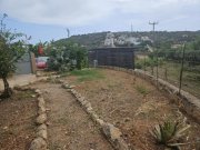 Ag. Varvara bei Sisi Kreta, Ag. Varvara: Bungalow mit großem Olivenhain in der Nähe eines Sandstrandes zu verkaufen Haus kaufen